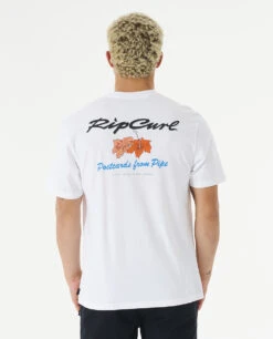 Ripcurl T-shirt Rip Curl POSTCARDS HIBISCUS TEE - White -Vêtements D'eau POSTCARDS HIBISCUS TEE 0 258658 1
