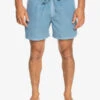 Short De Bain Quiksilver Everyday Surfwash 15" - Bering Sea