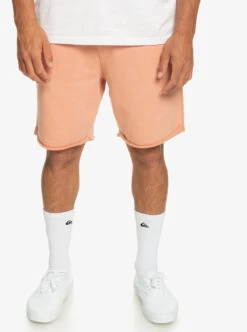 Short En Molleton Quiksilver Trip Away - Cafe Creme
