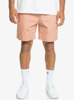 Short Taille élastique Pour Homme Quiksilver Taxer - Cafe Creme