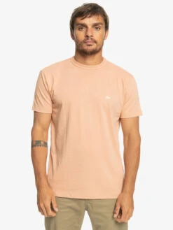 T-shirt En Matière Biologique Quiksilver Essentials - Cafe Creme