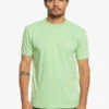 T-shirt En Matière Biologique Quiksilver Essentials - Sprucestone