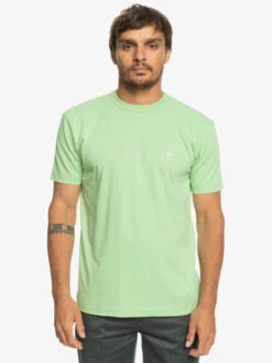 T-shirt En Matière Biologique Quiksilver Essentials - Sprucestone