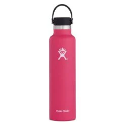 Gourde Hydro Flask 24OZ / 710ml STANDARD MOUTH Watermelon